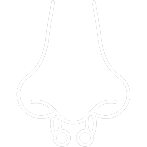 Nose Jewellery